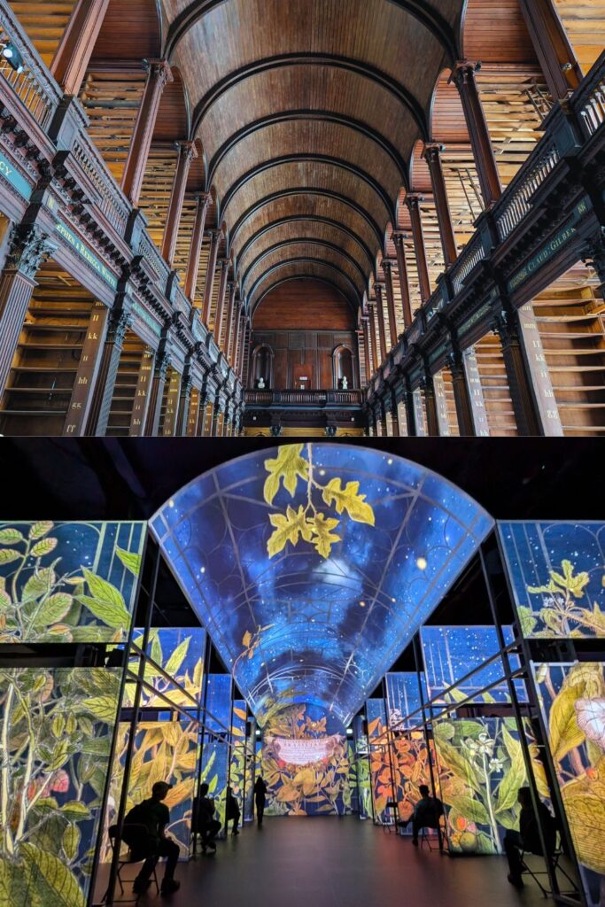 Above: the long run. Below - the digital immersive experience