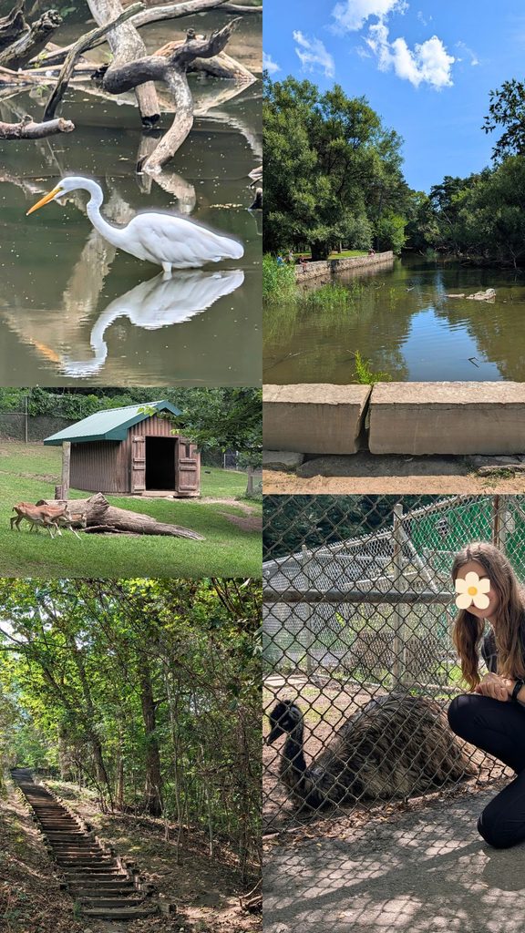Some photos showing the beautiful nature, gardens, animals (including wildlife) in High Park in Toronto