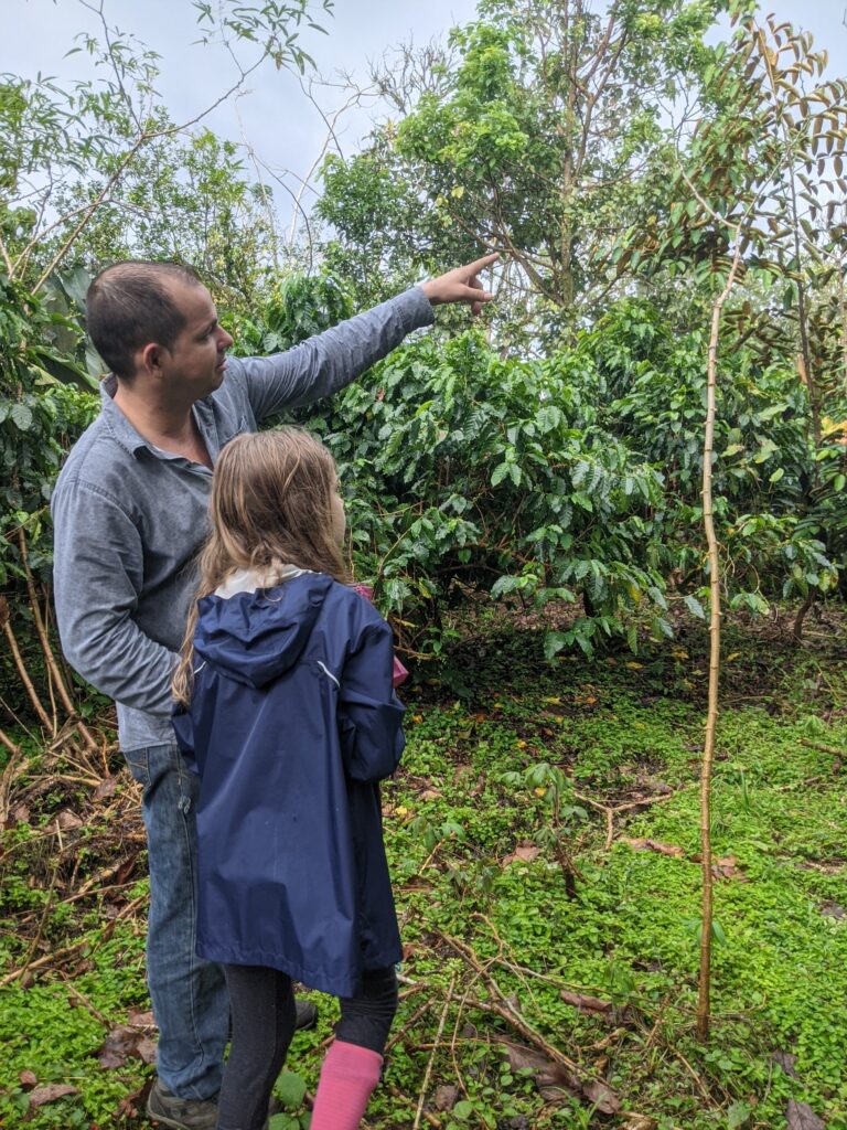 chocolate farm in costa rica