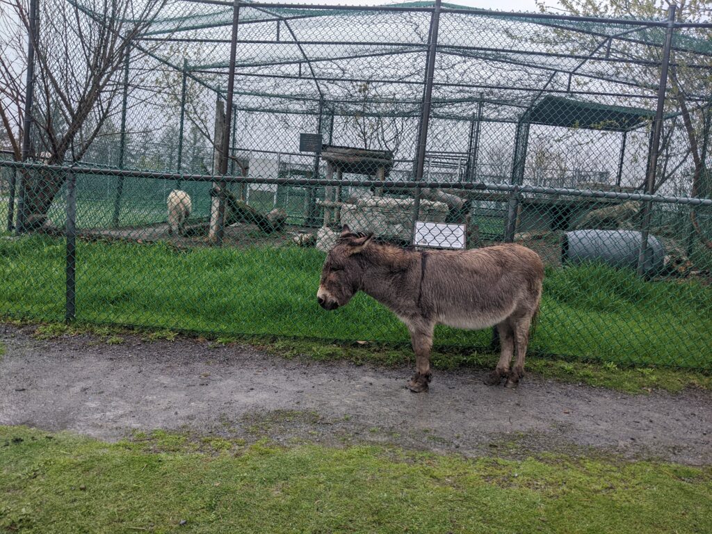 Jungle Cat World controversy 