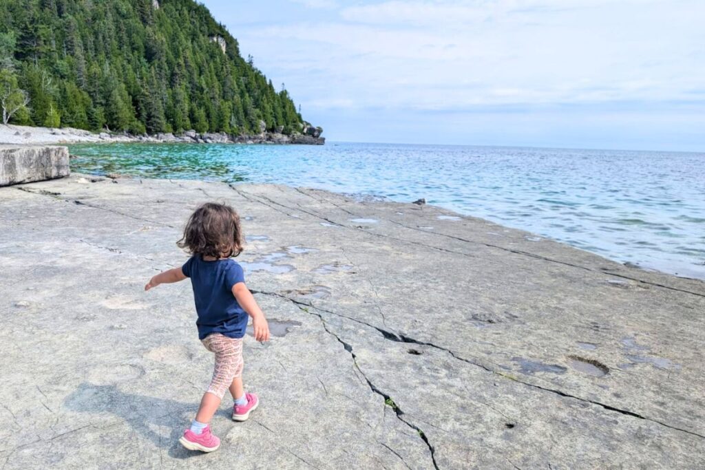 shoreline on flowerpot island