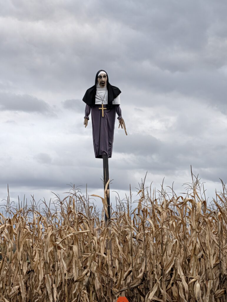 12thline creepers in Alliston