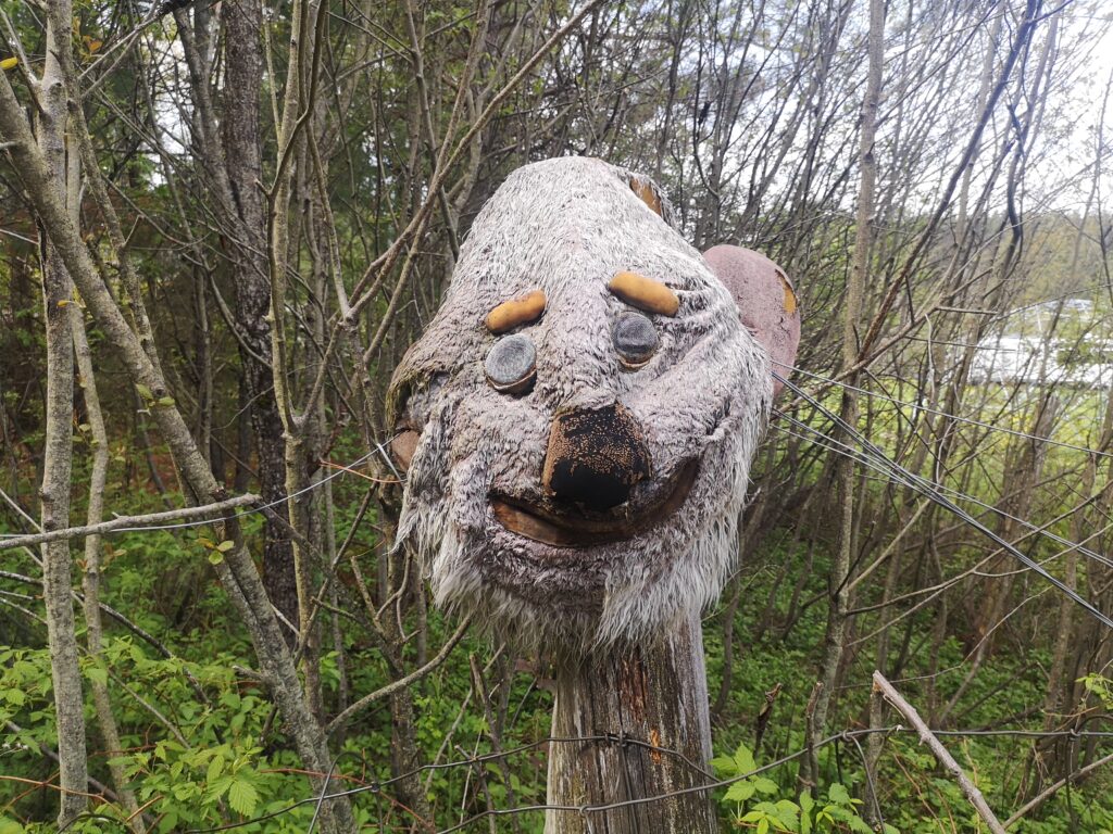 Bear face Screaming heads