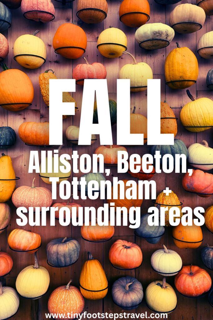 a pumpkin wall with the words Fall in Alliston, Beeton, Tottenham + surrounding areas