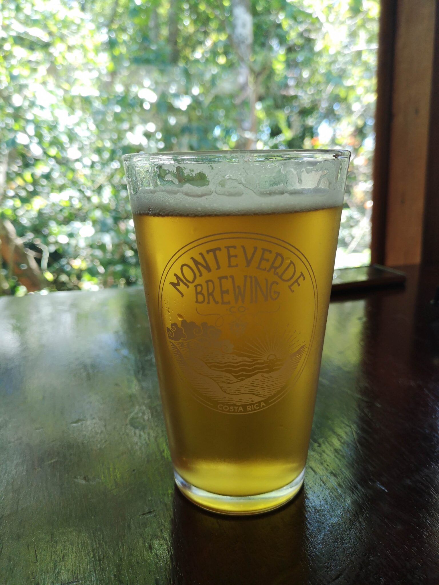 11 Best Costa Rica Beer Brands To Try In 2024