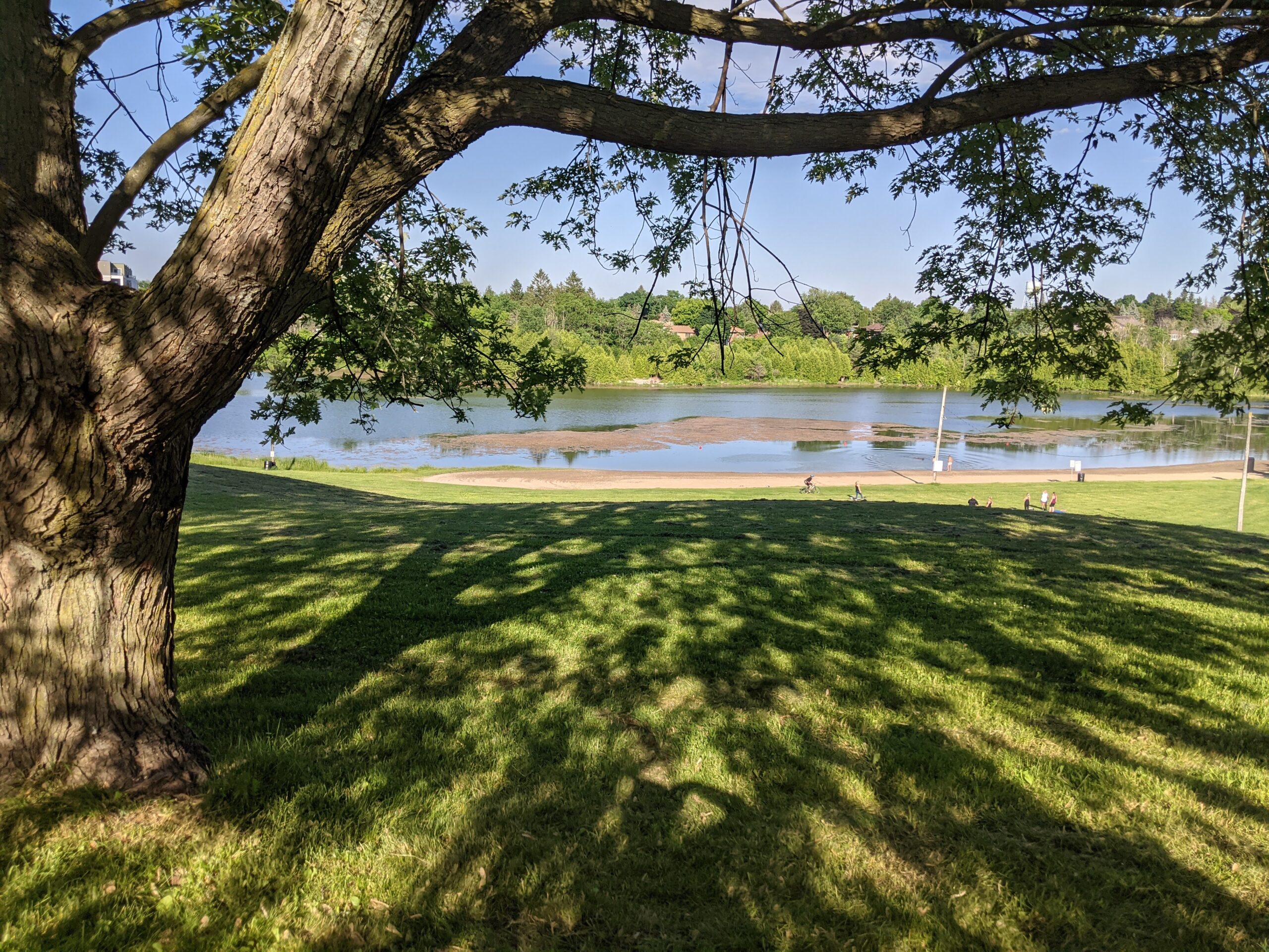 Tottenham Conservation Area