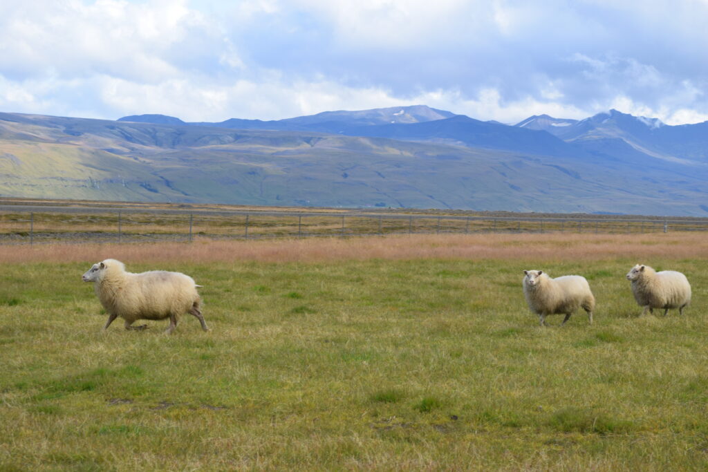 Iceland