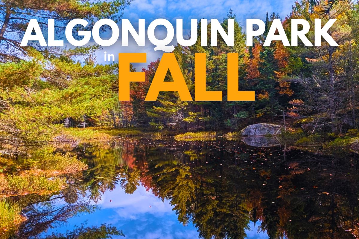 Algonquin Park in Fall