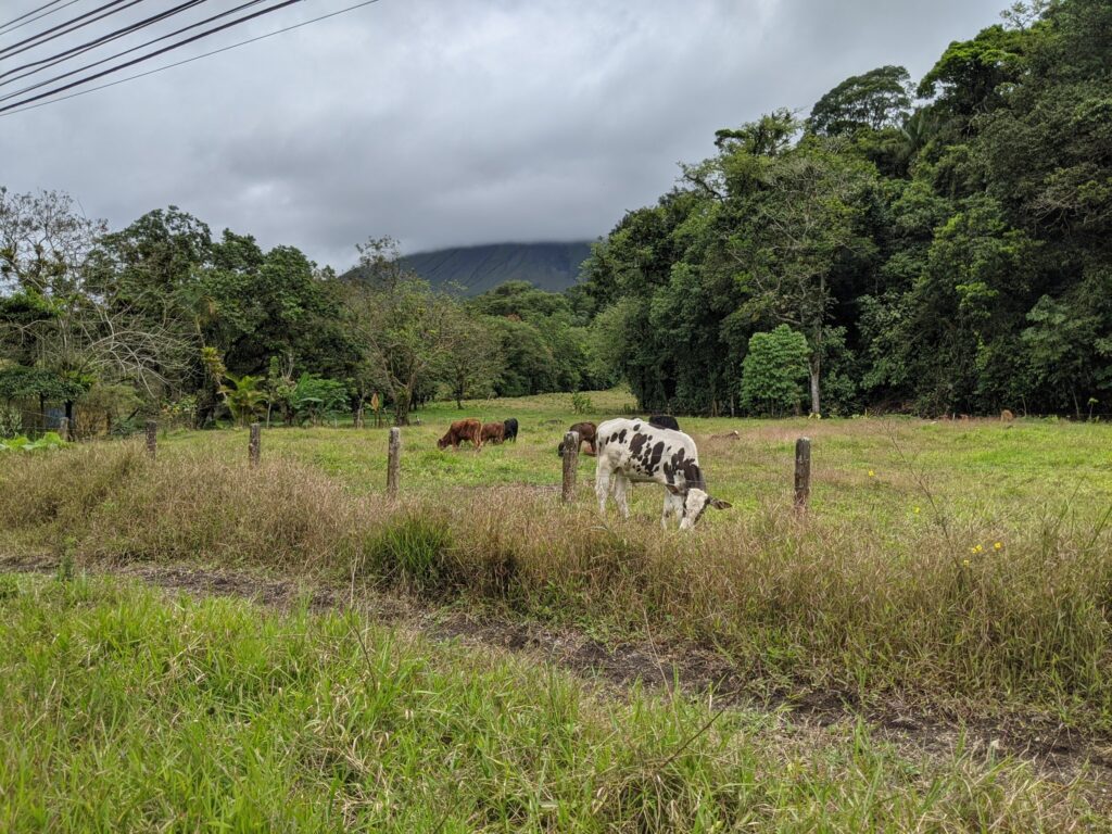 costa rica
