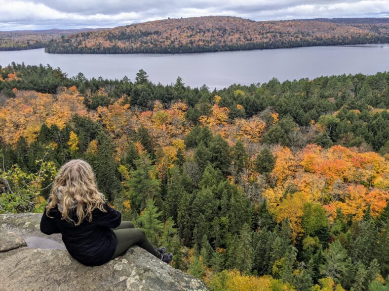 Fall in Algonquin Park: What You Need to Know (2025)