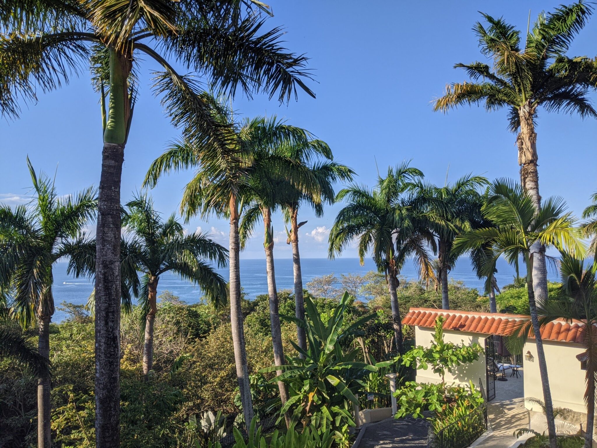 Costa Rica in March 2024 Travel Guide