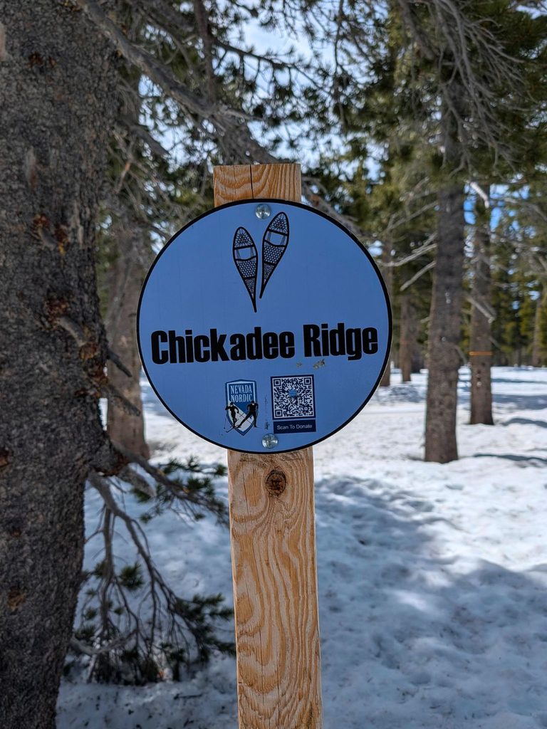 Chickadee Ridge area