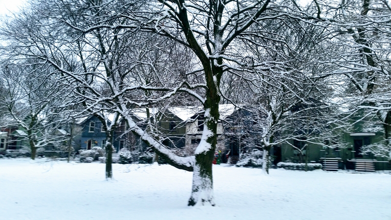Cabbagetown Toronto