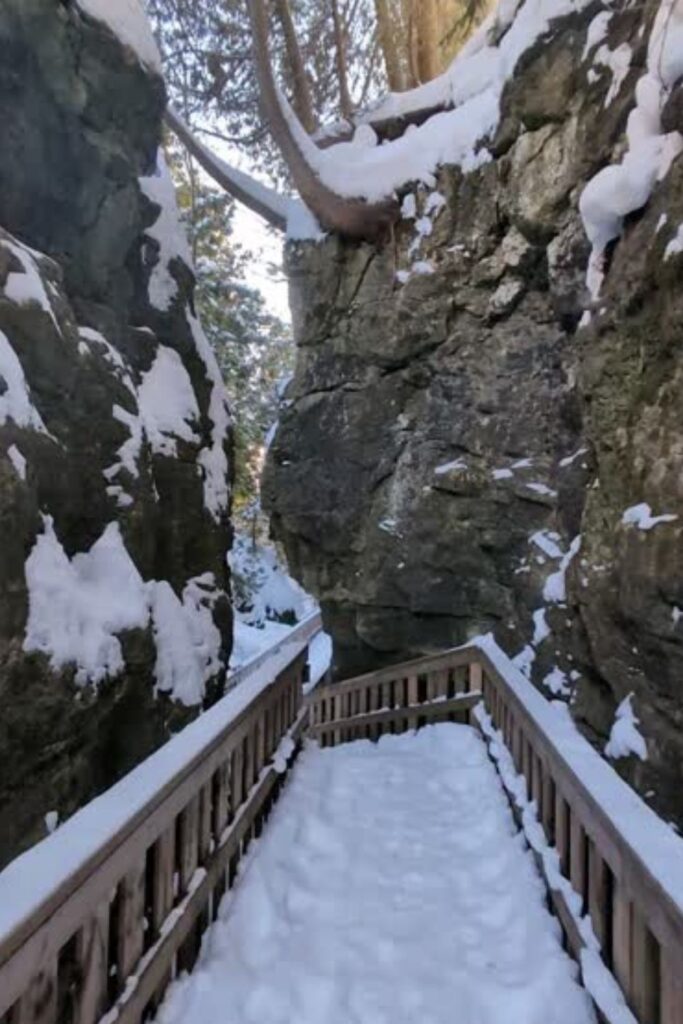 Mono cliffs provincial park