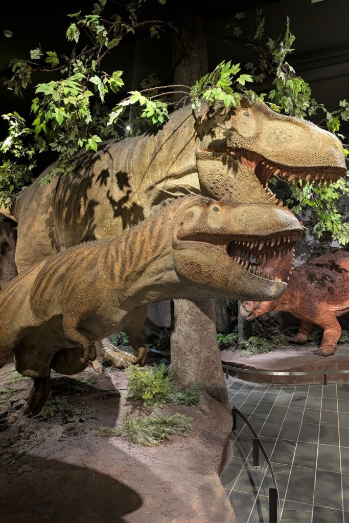 Dinosaur replicas inside the Canadian Museum of Nature