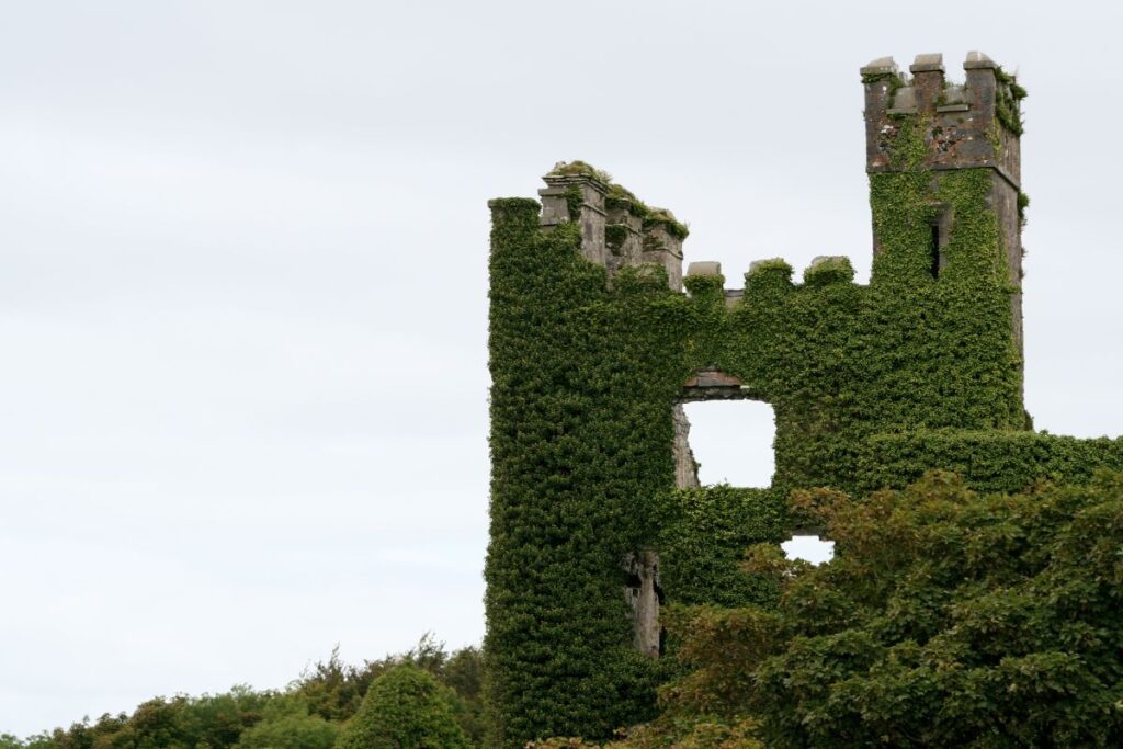 Menlo Castle