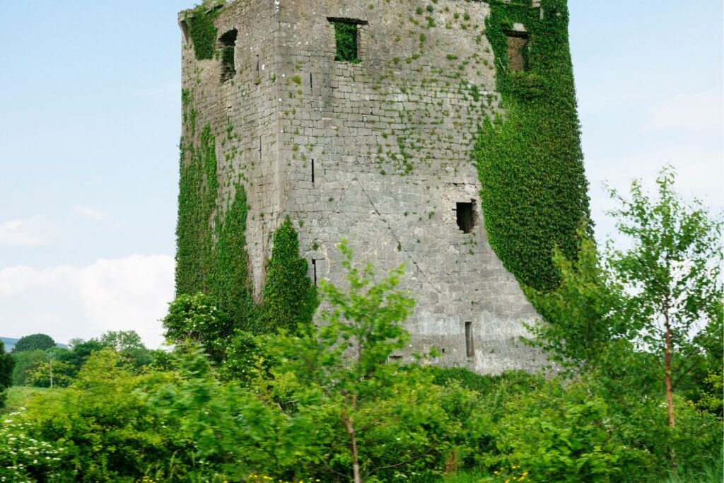 abandoned castle in Ireland