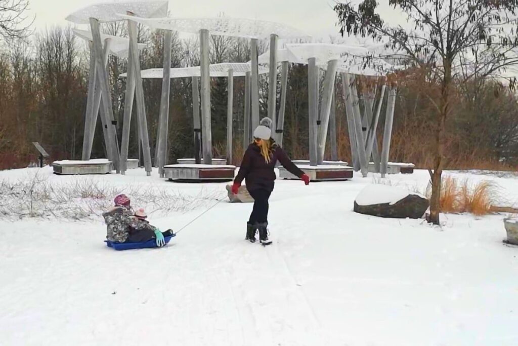 collingwood arboteum