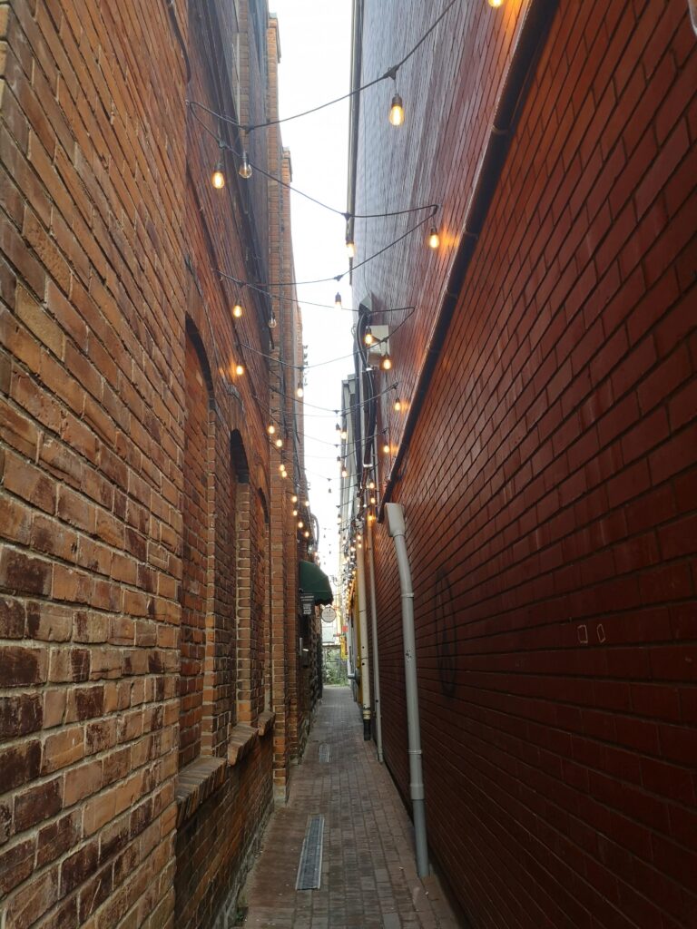 small alley hurontario street collingwood