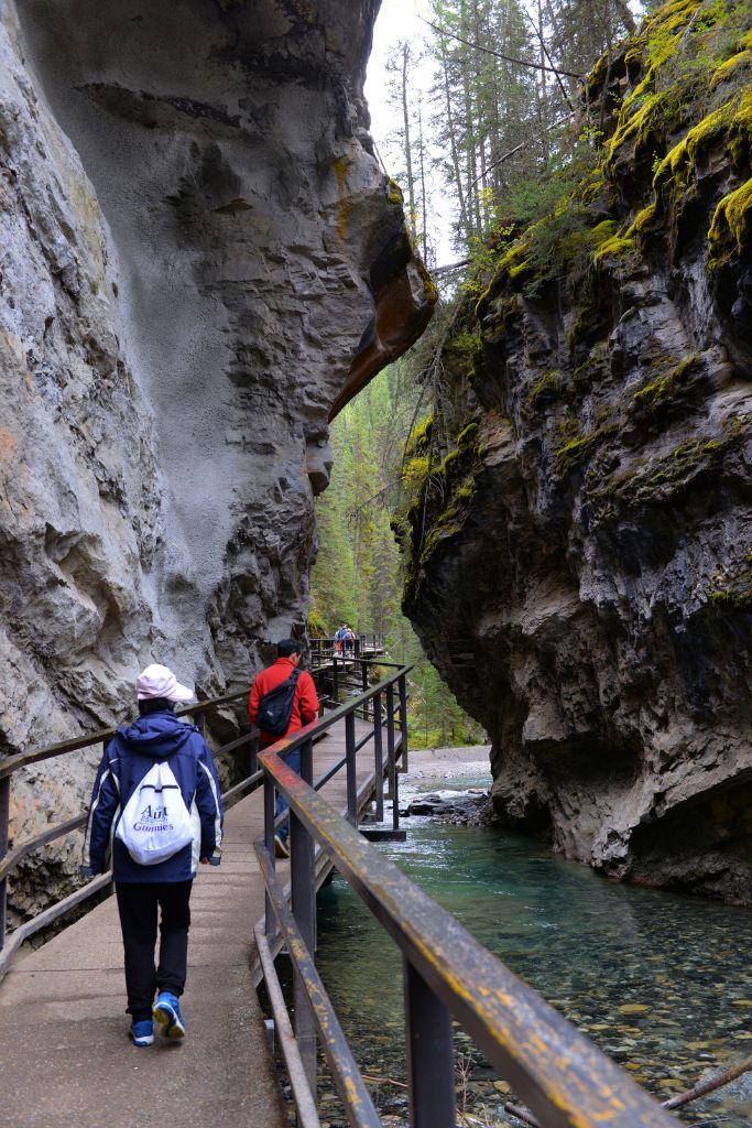 johnston canyon hike