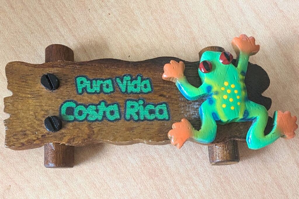 a magnet with a tree frog that says pura vida