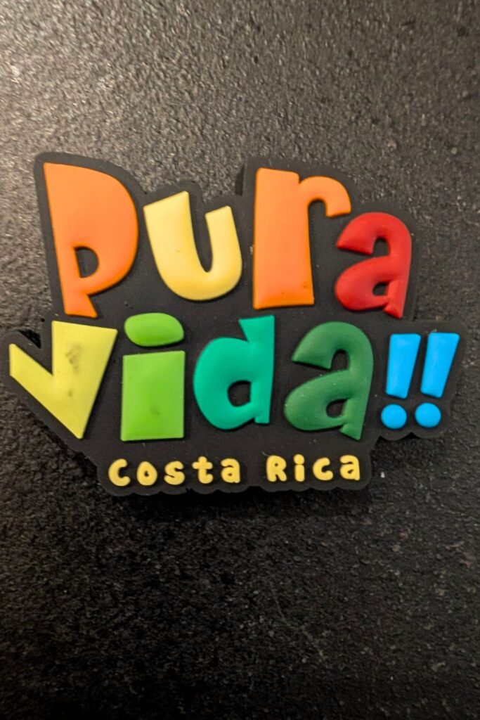 Pura vida magnet