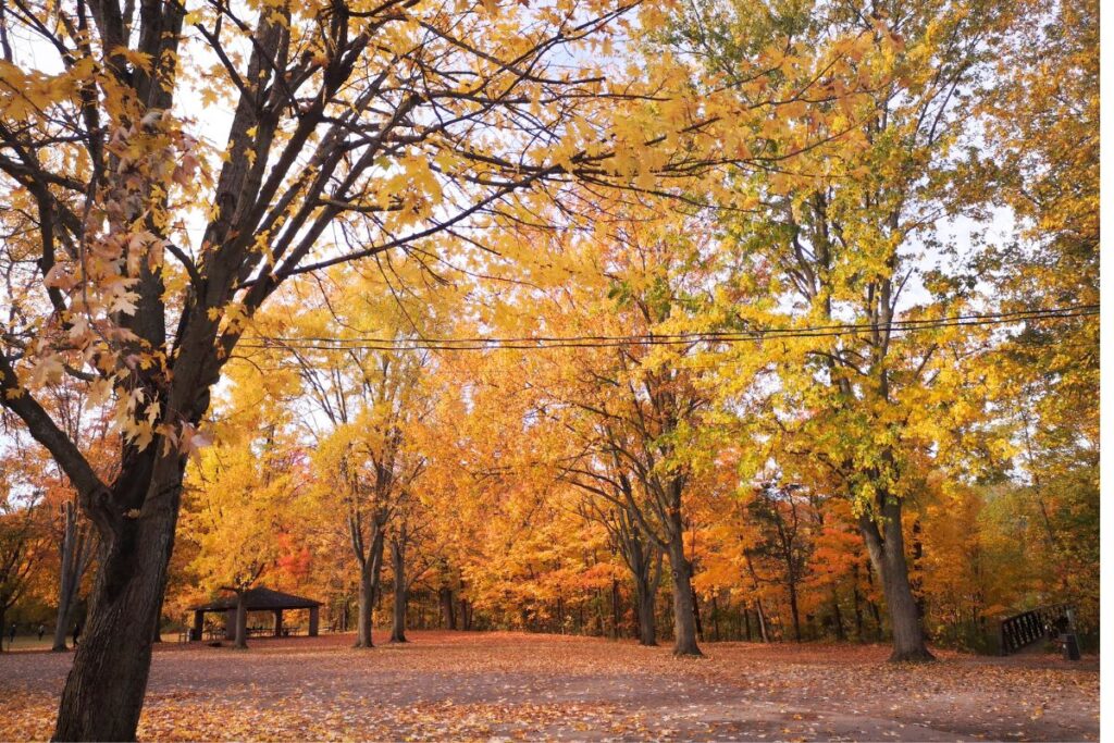 balls falls conservation area