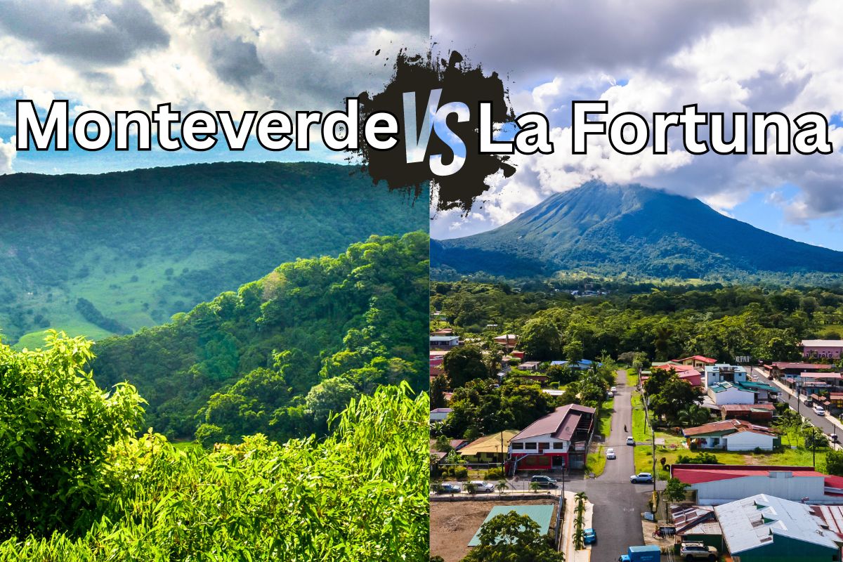 monteverde vs la fortuna