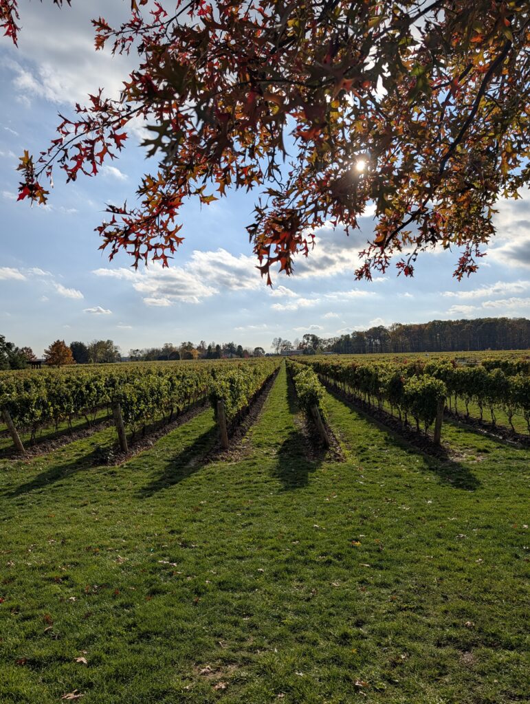 A winery in autumn in Niagara on the Lake