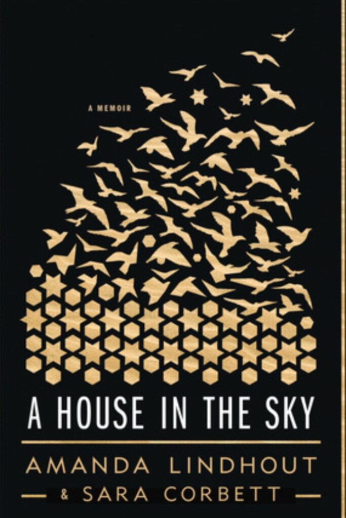 a house in the sky book cover
