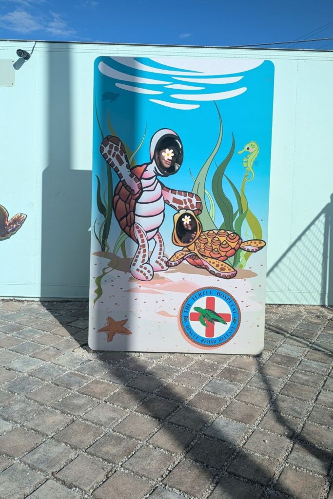 my kids at the turtle hospital
