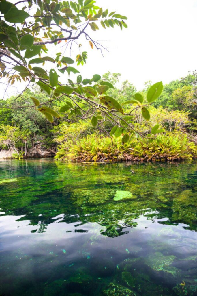 open cenote