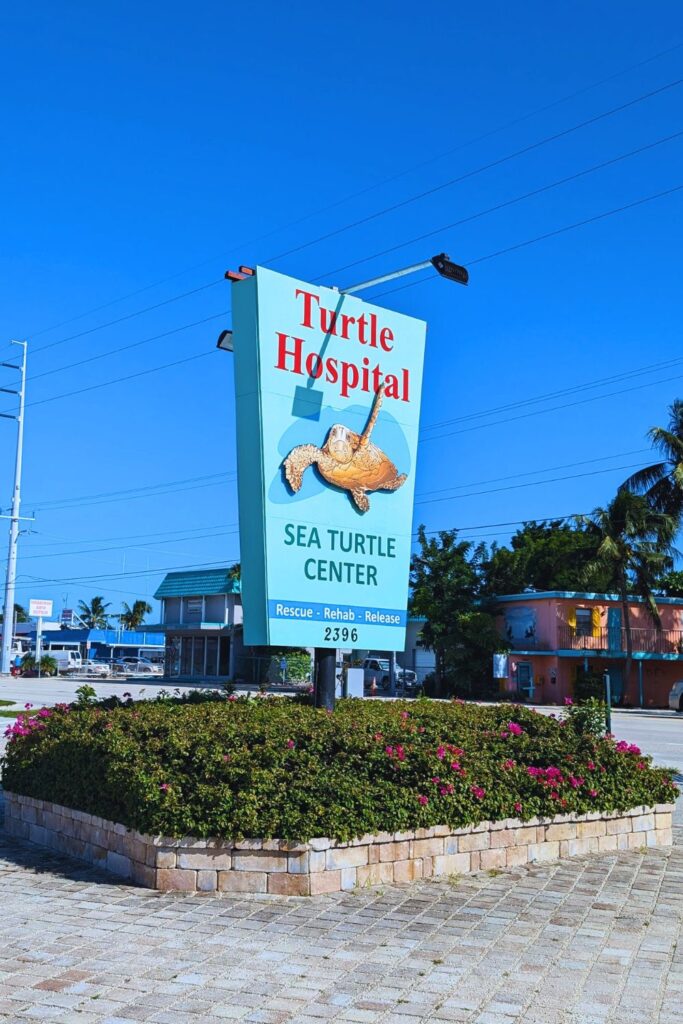 the outside of the turtle hospital