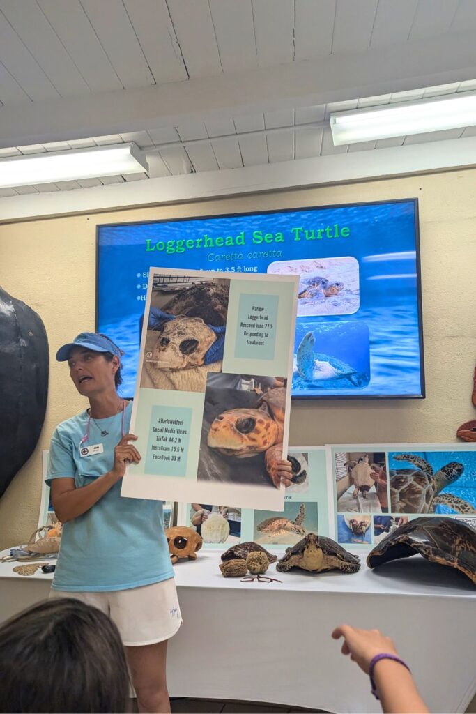 the presentation at the Turtle Hospital