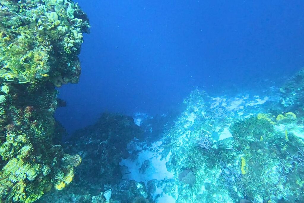 scuba cozumel