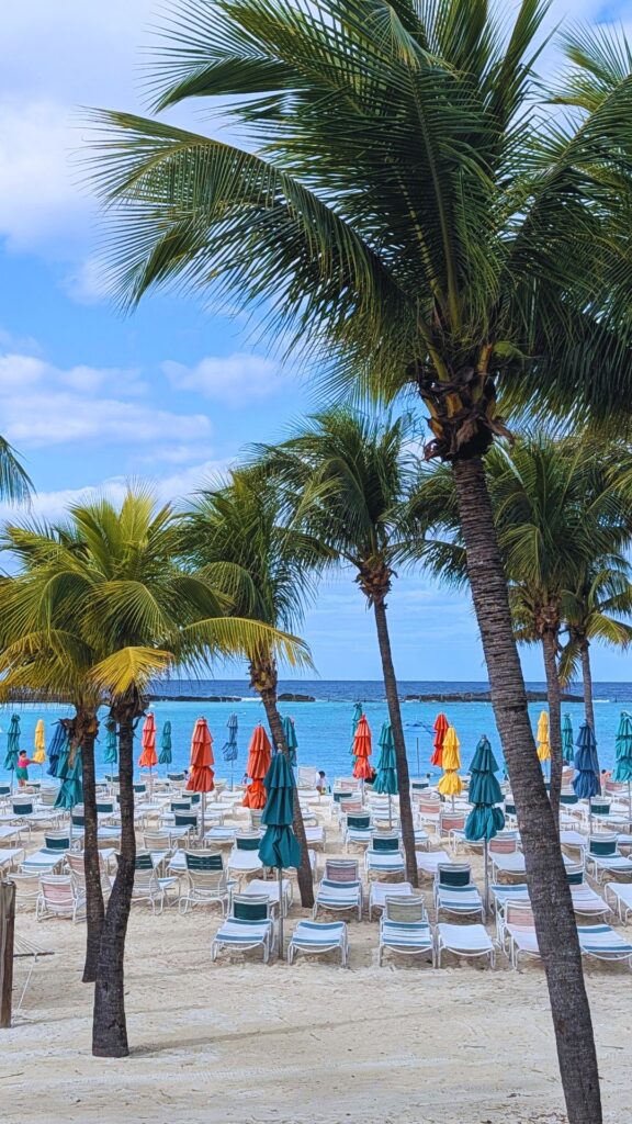 a beach on Castaway Cay with palm trees and lawn chairs