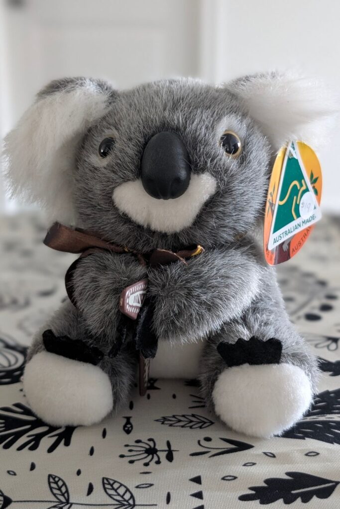 koala from Australia