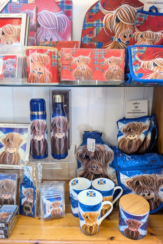 highland cow souvenirs