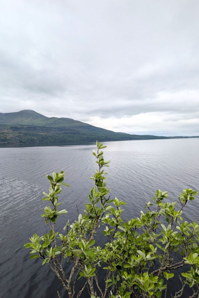 look out at Governer's Point