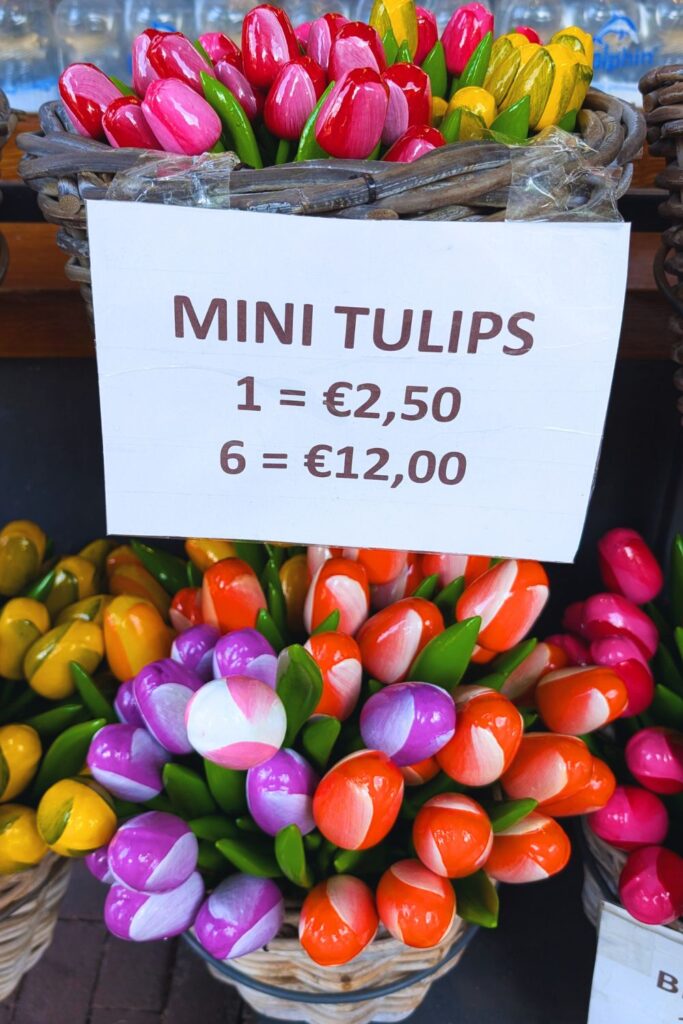 tulips from amsterdam