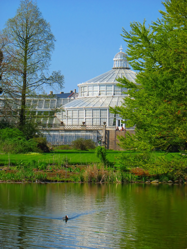Botanical Garden in Copenhagen