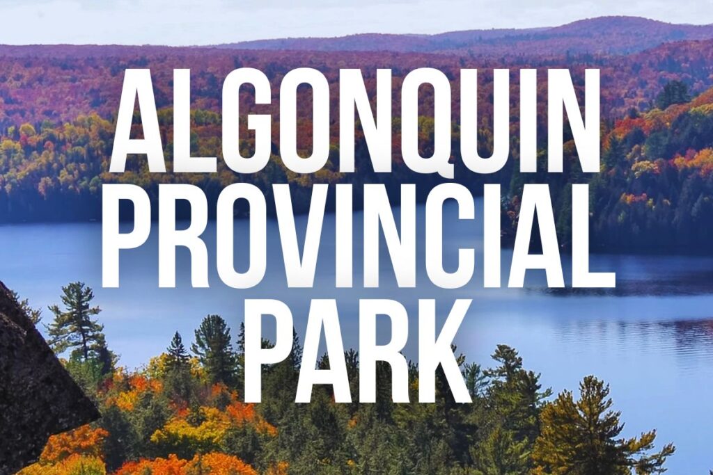 Algonquin Provincial Park letters with the park behind