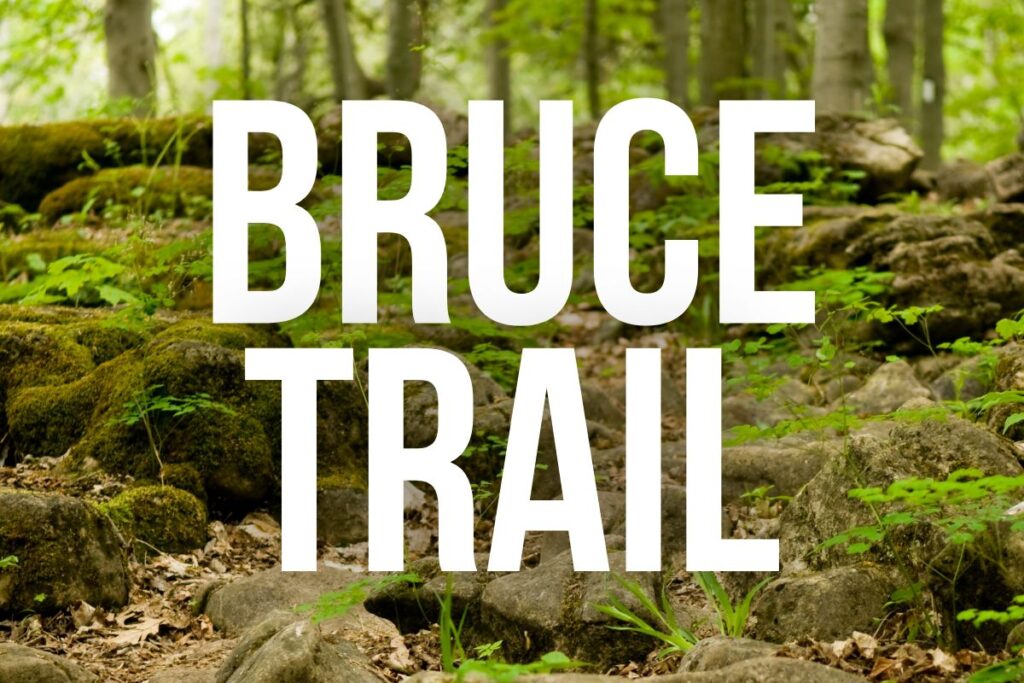 The Bruce Trail
