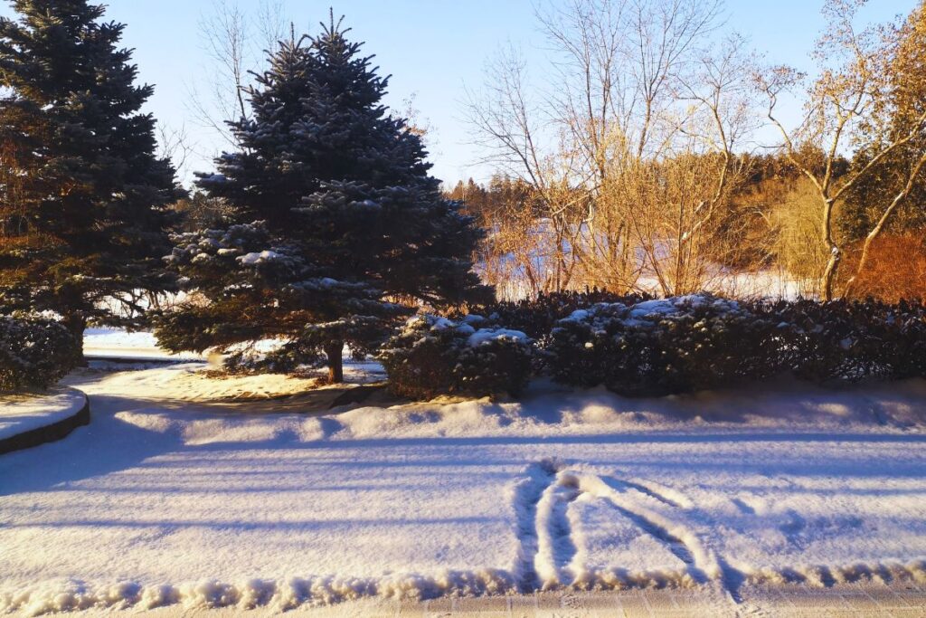 View from a window at the Nottasaga Inn