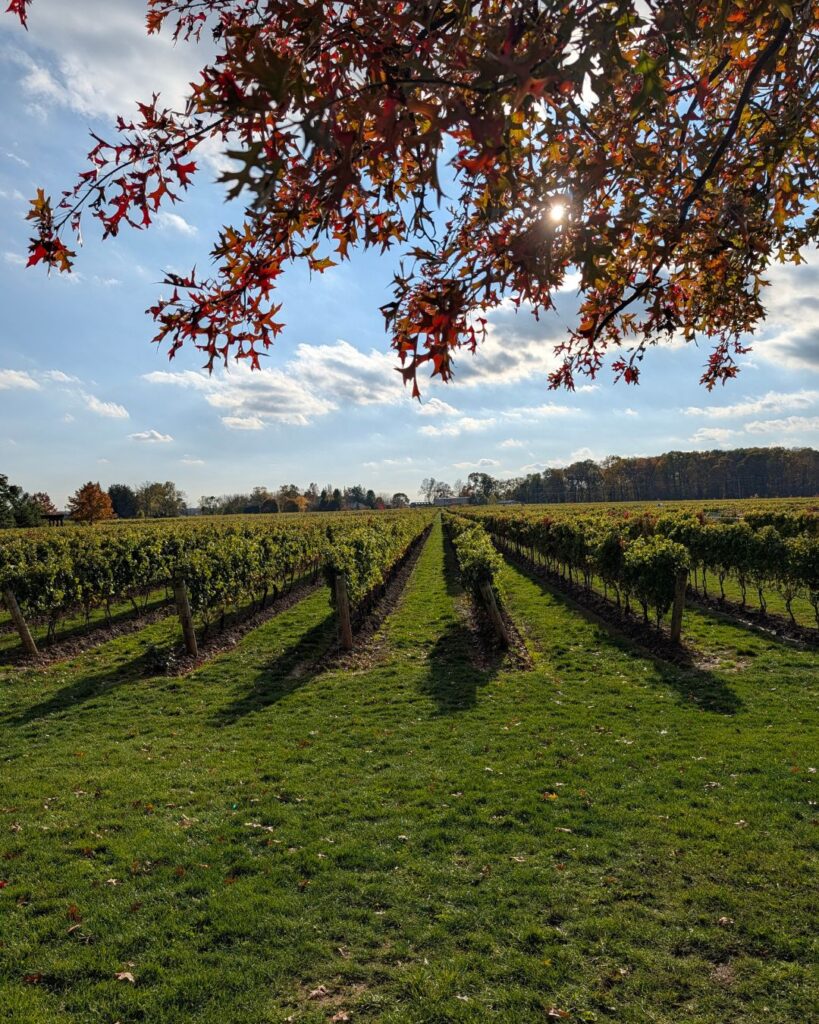 A winery in Niagara on the Lake
