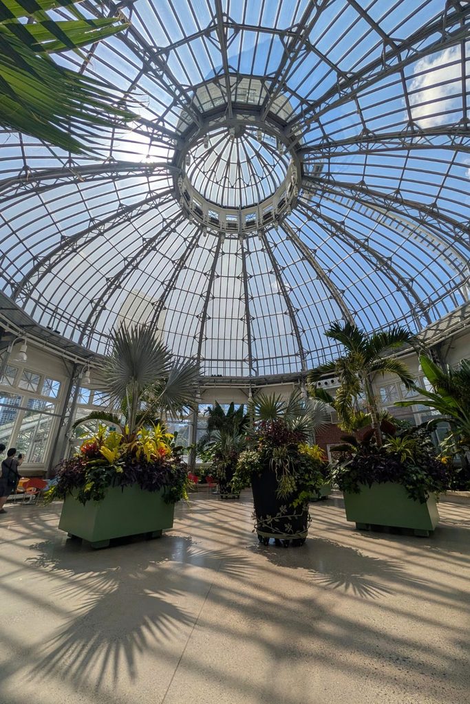Inside the dome at Allan Gardens
