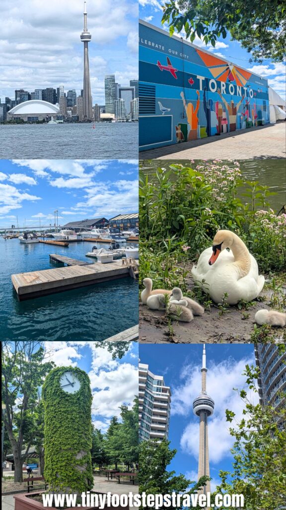 Photos of waterfront area of Toronto, as well as Centre Island. Views of the CN Tower and wildlife on Toronto islands