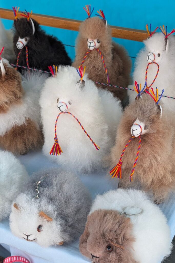 Andean alpaca dolls in Ecuador