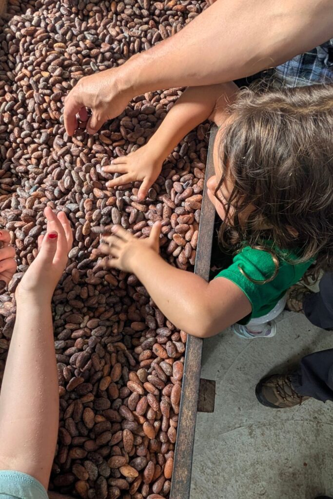 a child touching chocolate beans in Ecuador