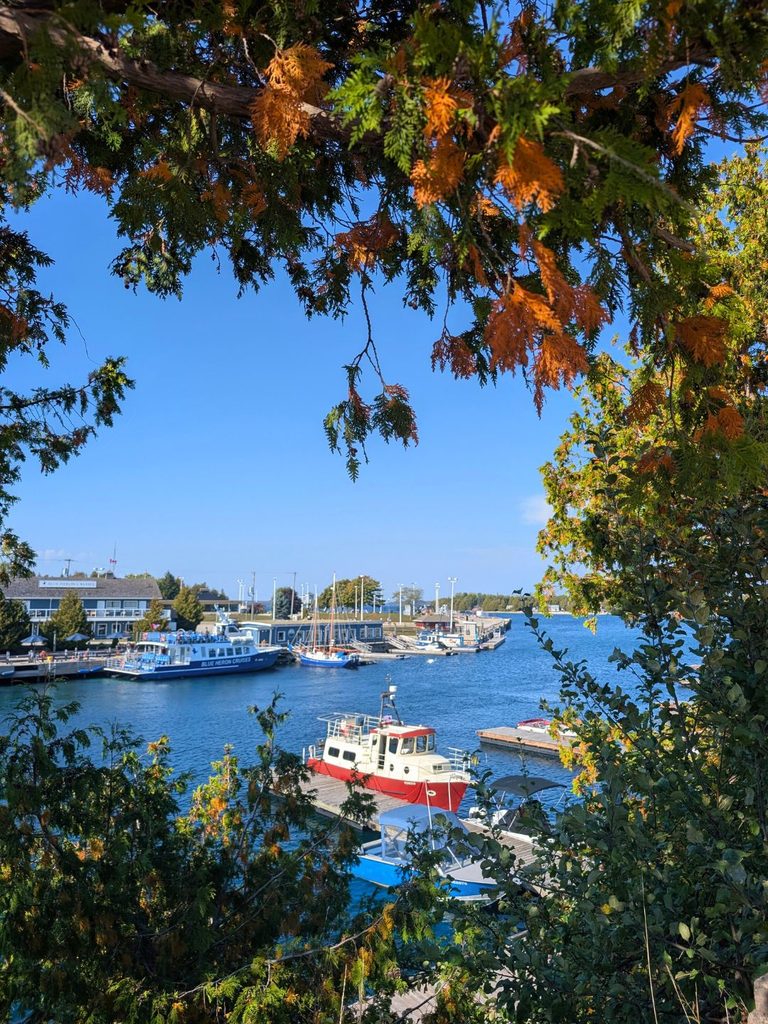 Tobermory harbour in fall
